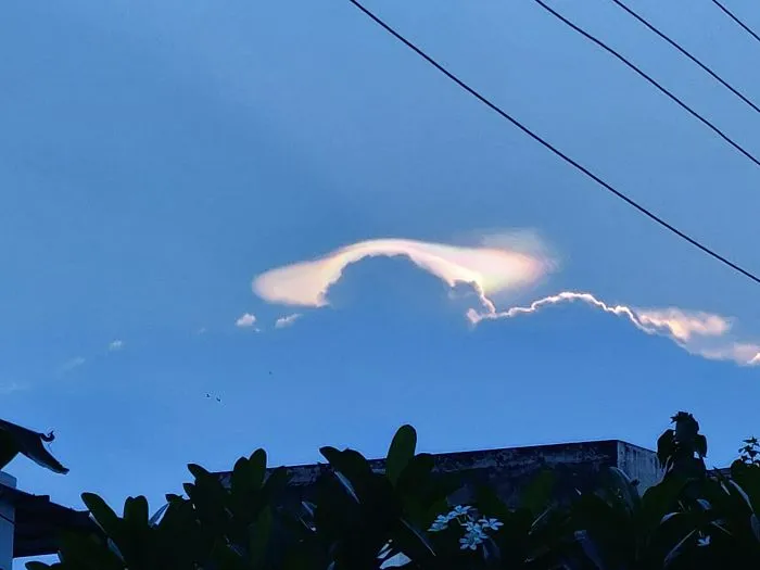 Saw This Natural Phenomenon Near My Home. What Is This Thing?