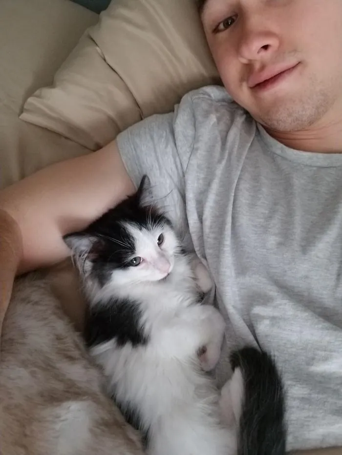 Staying At An Airbnb And I Woke Up To Their Kitten This Morning Licking My Face. Instant 5 Star Review