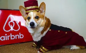30 Times People Got More Than They Paid For In Their Airbnb Apartments And Met The Cutest Animals