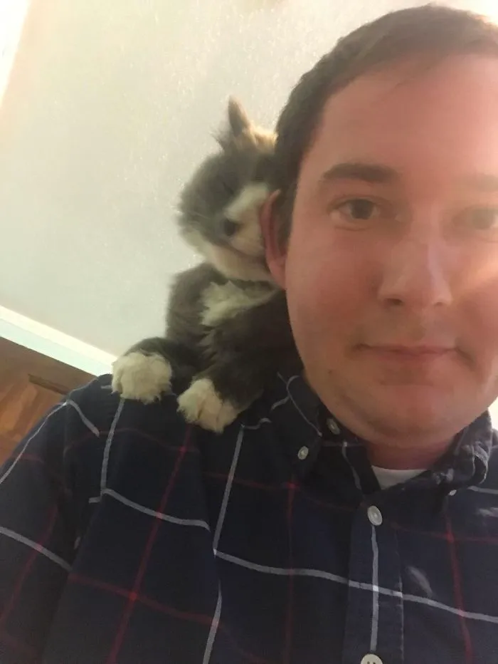En este Airbnb hice un amigo llamado Mewcifer