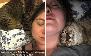 30 Times People Got More Than They Paid For In Their Airbnb Apartments And Met The Cutest Animals