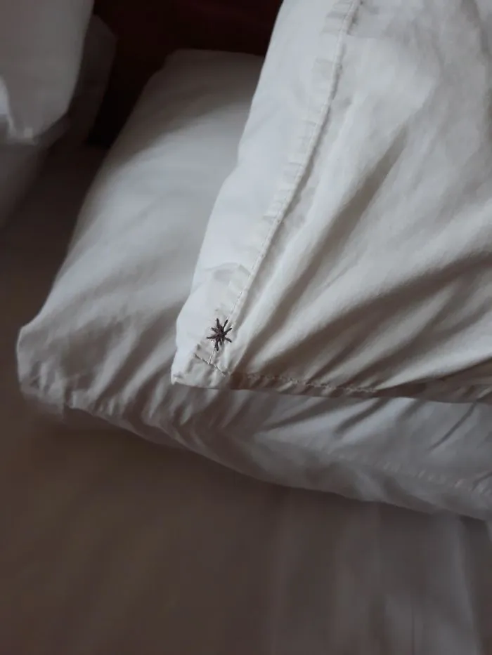 Las fundas de almohada tienen este bordado