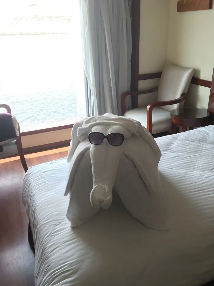 El personal de limpieza ha conseguido encontrar mis gafas