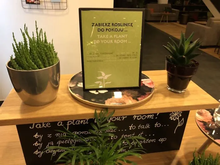 Este hotel te presta plantas para llevar a tu habitación