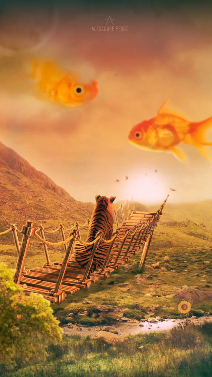 Tiger Dream
