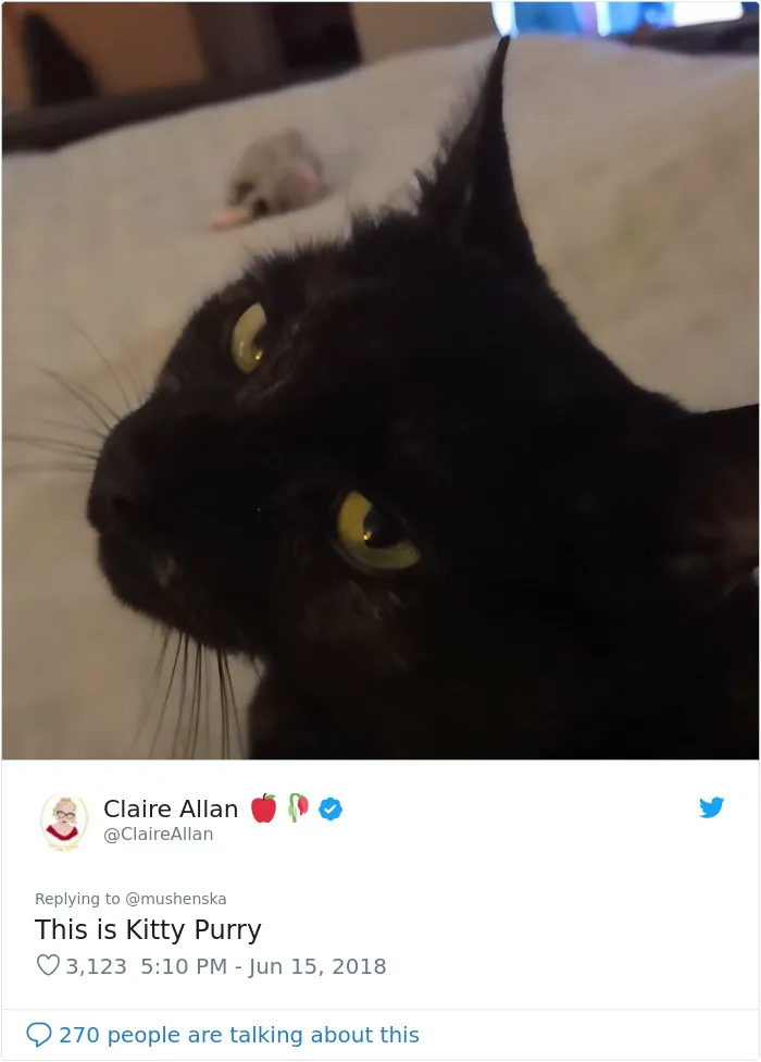 30 People Share The Funniest Pet Names And They're Beyond Creative