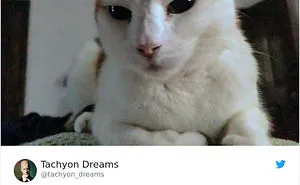 30 People Share The Funniest Pet Names And They're Beyond Creative