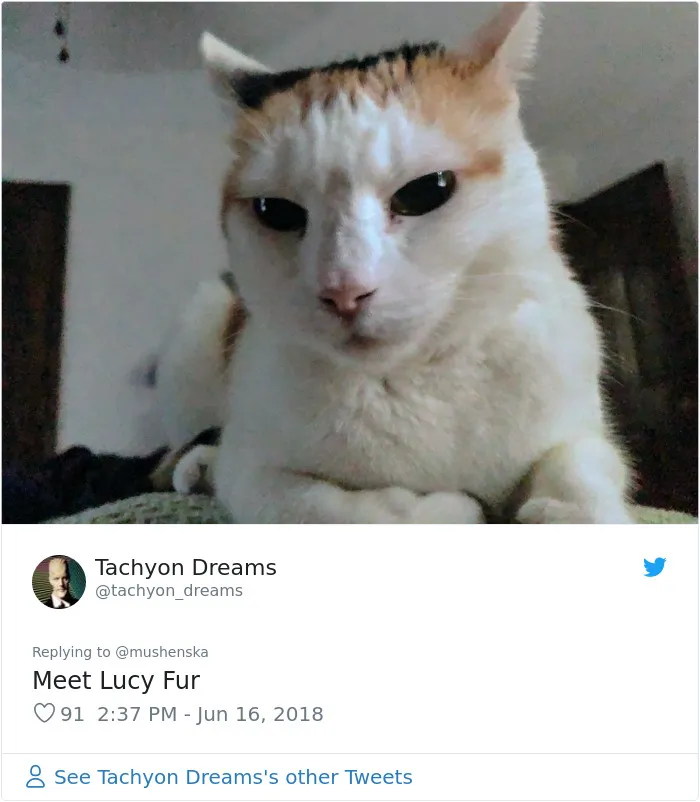30 People Share The Funniest Pet Names And They're Beyond Creative