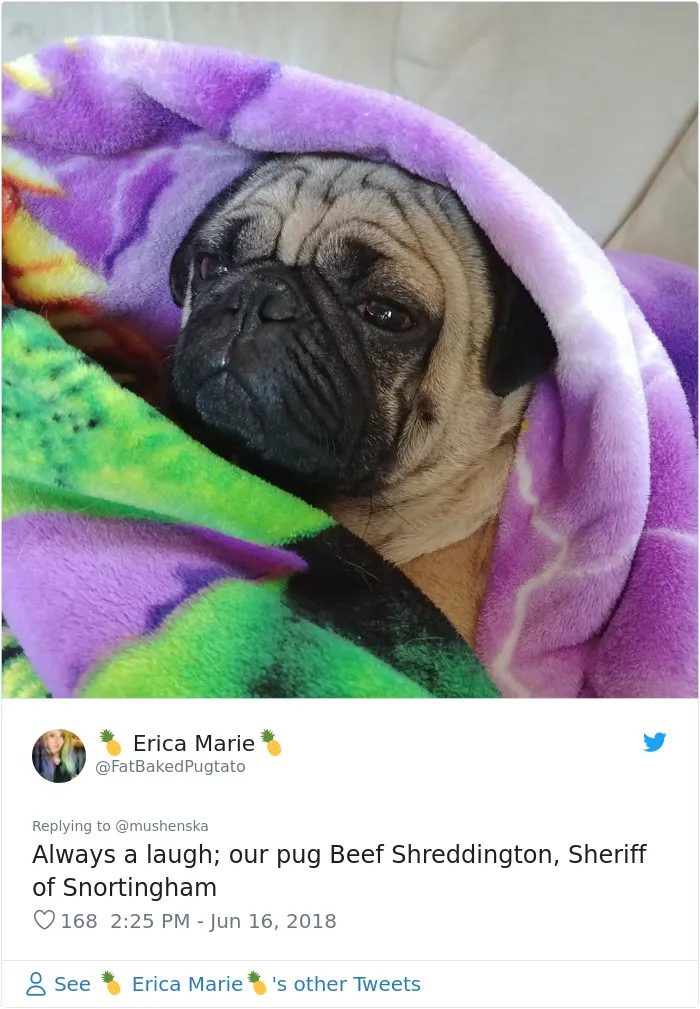 30 People Share The Funniest Pet Names And They're Beyond Creative