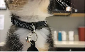 30 People Share The Funniest Pet Names And They're Beyond Creative