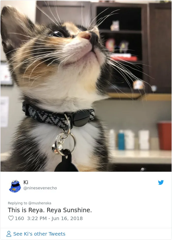30 People Share The Funniest Pet Names And They're Beyond Creative