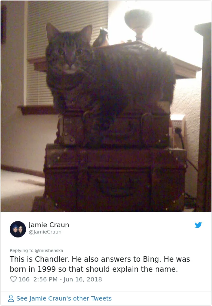 30 People Share The Funniest Pet Names And They're Beyond Creative