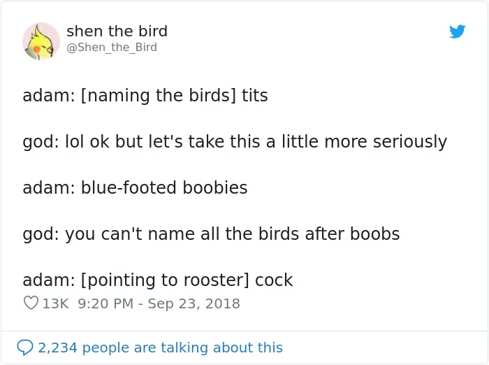 People Imagine What God Was Thinking When He Created Specific Things And It's Hilarious