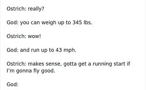 People Imagine What God Was Thinking When He Created Specific Things And It's Hilarious