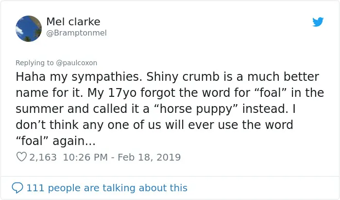30 People Share Their Brainfart Moments Where They Failed To Remember A Basic Word