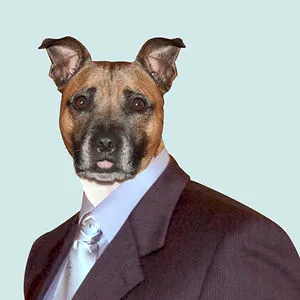 Ben Timages