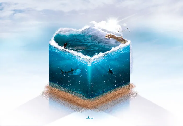 Surfing On Mini Island