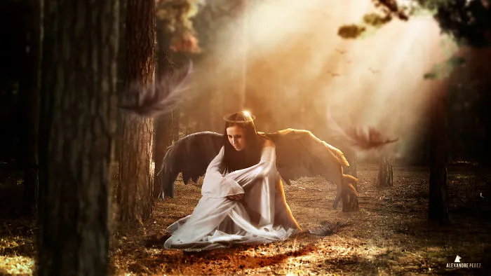Angel's Arrive