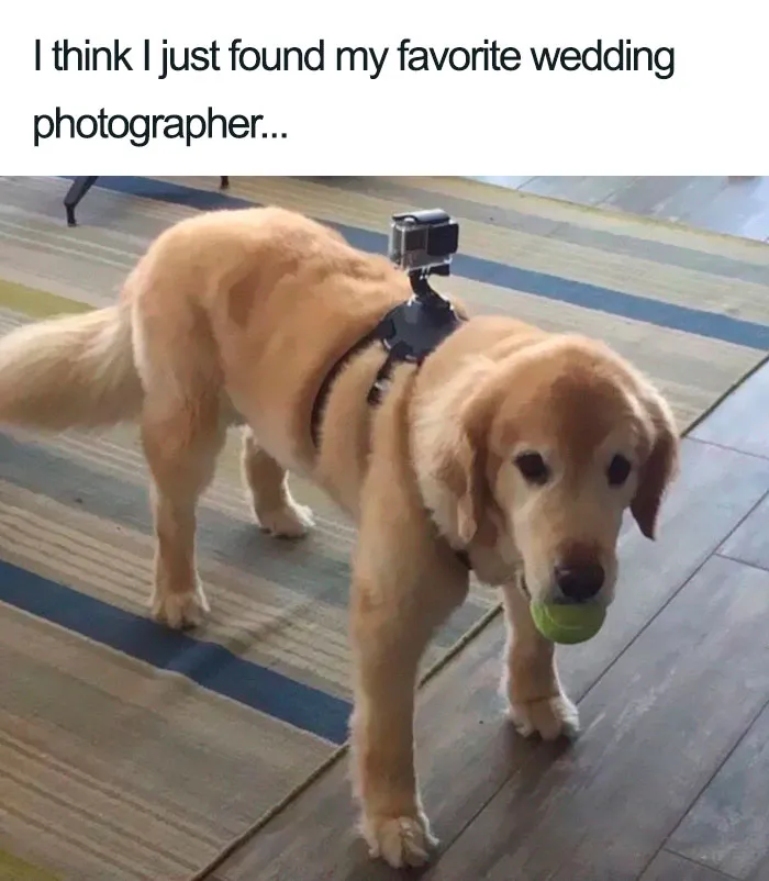 29 Hilarious Memes That Perfectly Sum Up Every Wedding