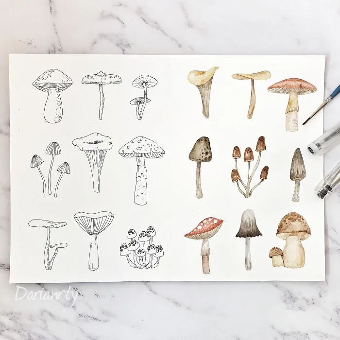 I've Started A 52 Weeks Project Of Illustrations In 2019