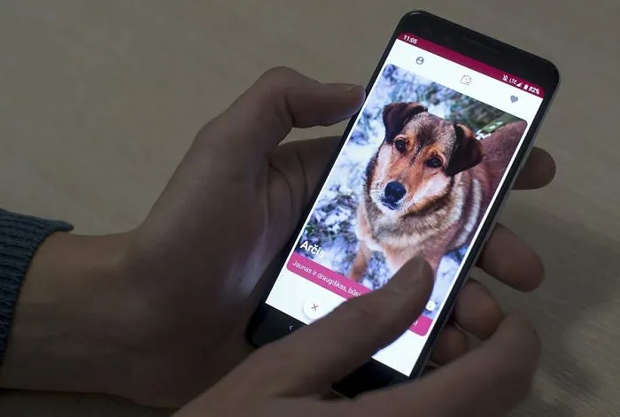 Someone Has Created An Application Where You Can Find Your Canine Friend Waiting For You