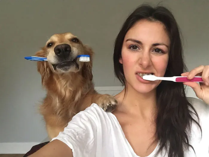 Estoy un poco obsesionada con mi perro, pero no me arrepiento en ningún momento (22 fotos)
