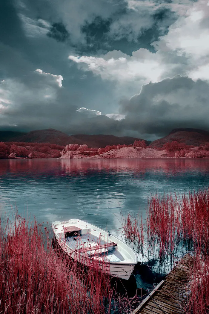 I Made A Lens Filter To Recreate Infrared Photography With My Modified Digital Camera