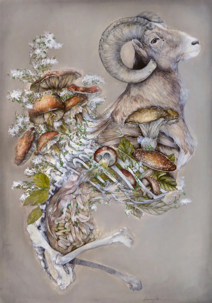 Artist Makes Flowers Bloom From Animal And Human Bodies And The Result Is Beautiful