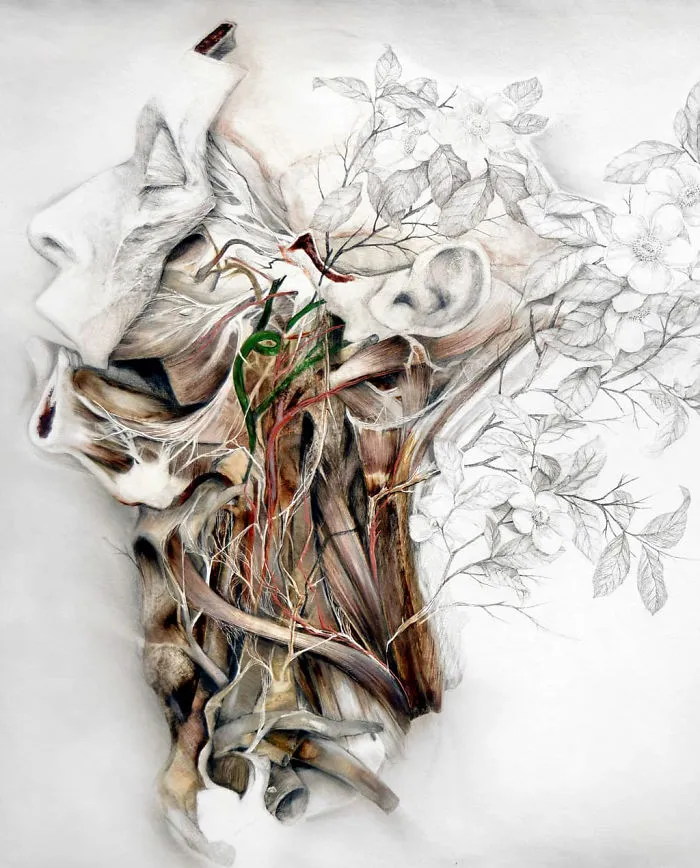 Artist Makes Flowers Bloom From Animal And Human Bodies And The Result Is Beautiful
