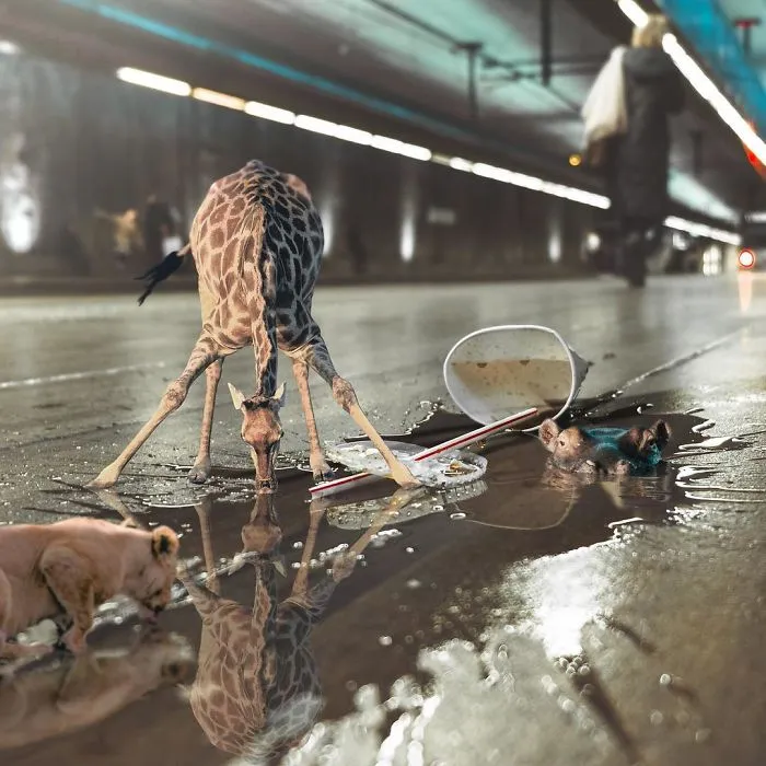 Artist Creates Surreal Images That Balance Between Reality And Imagination (50 Pics)