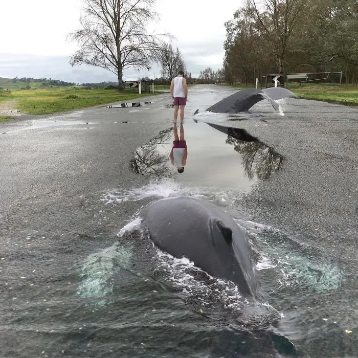 Artist Creates Surreal Images That Balance Between Reality And Imagination (50 Pics)