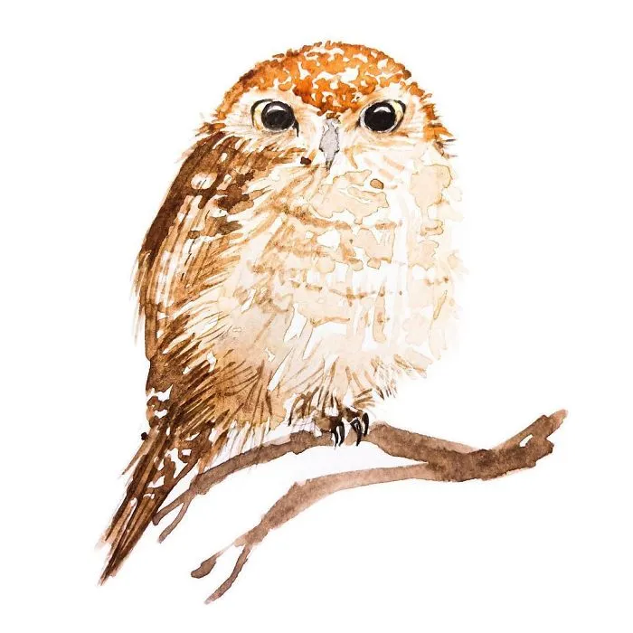 I Painted My First Owl 5 Years Ago, And Haven't Been Able To Stop Since (54 Pics)