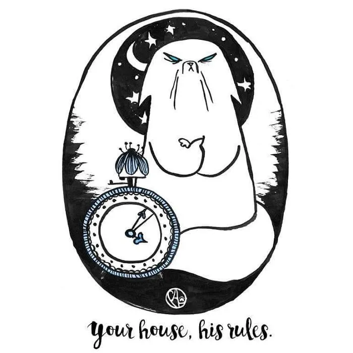My Girlfriend Turns Our Life With 3 Cats And A Dog Into Humorous Illustrations (20 Pics)