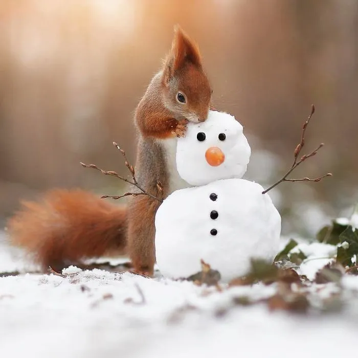 "Hey Mr. Snowman, Can I Eat Your Head?"