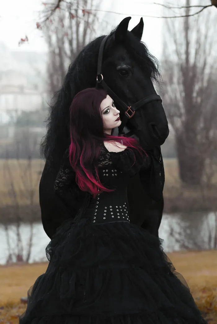 I Capture The Power And The Beauty Of A Frisian Stallion