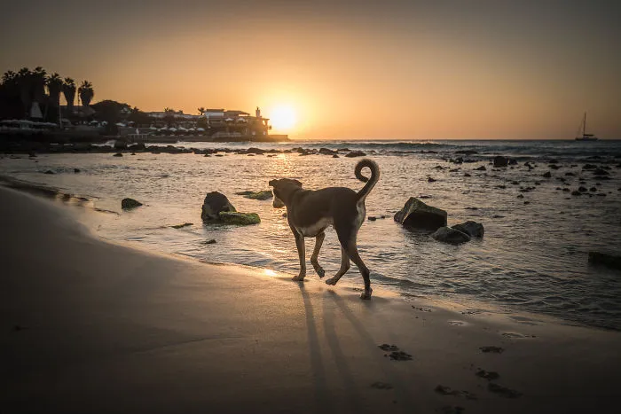 Belleza al amanecer