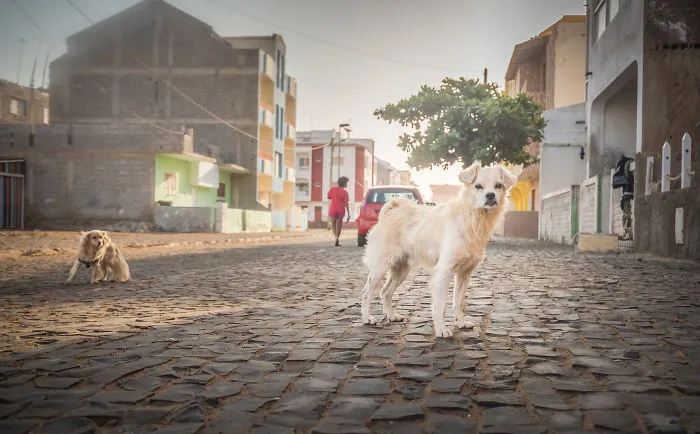 Las calles de Santa maria