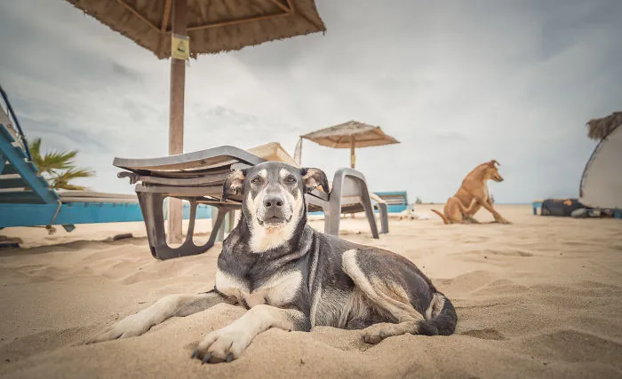 Playa Colombus