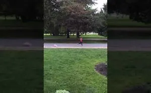 Beanie & Her Kite