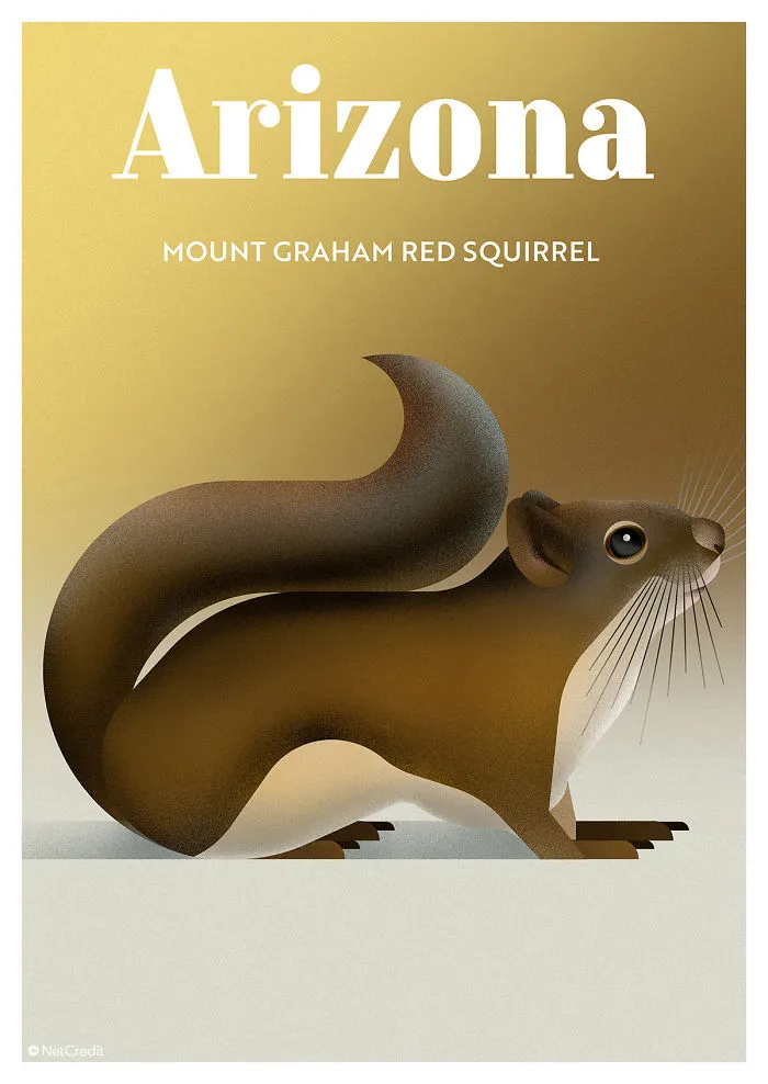 Mount Graham Red Squirrel