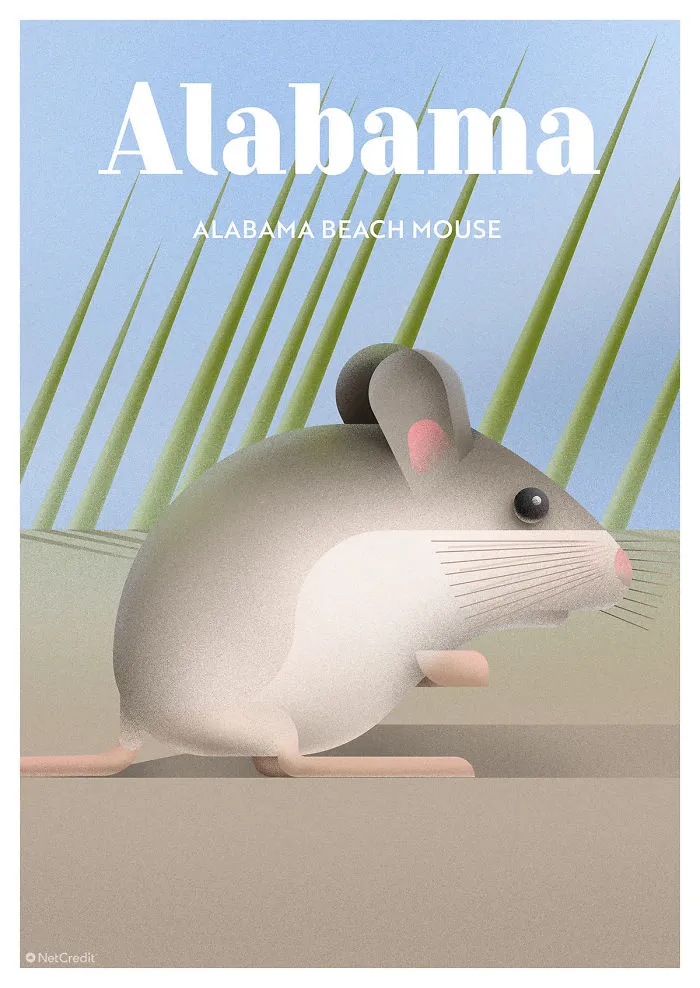 Alabama Beach Mouse