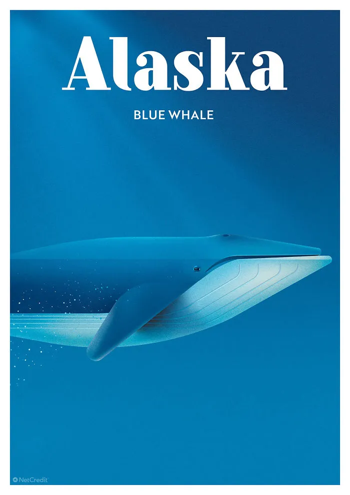 Blue Whale