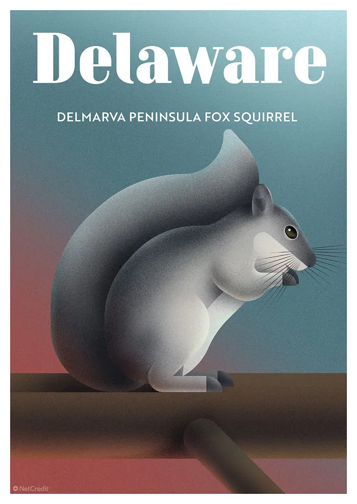 Delmarva Peninsula Fox Squirrel