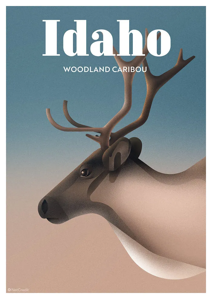 Woodland Caribou