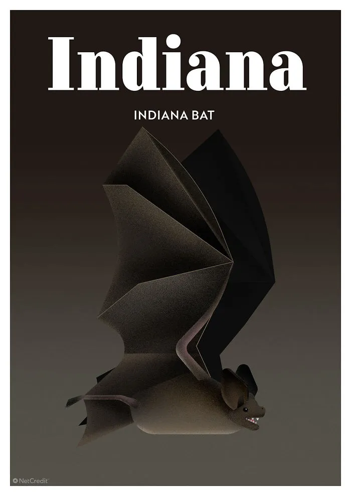 Indiana Bat