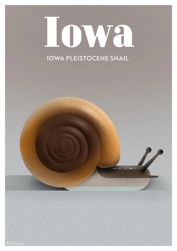Iowa Pleistocene Snail