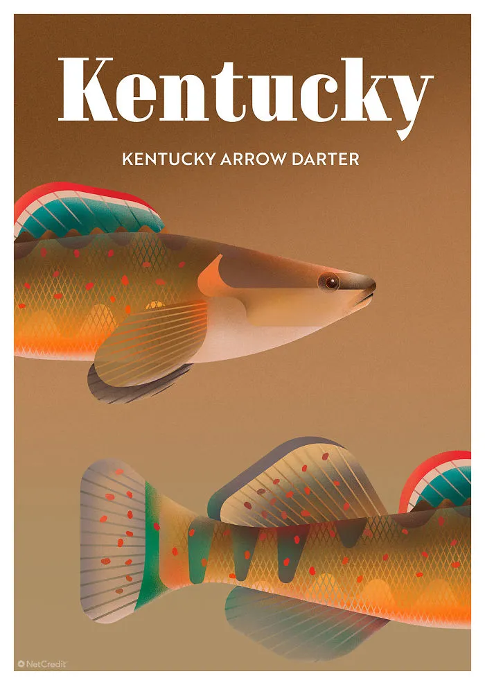 Kentucky Arrow Darter