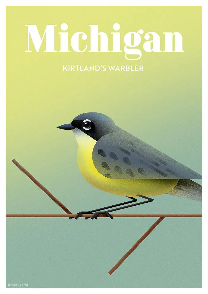 Kirtland’s Warbler