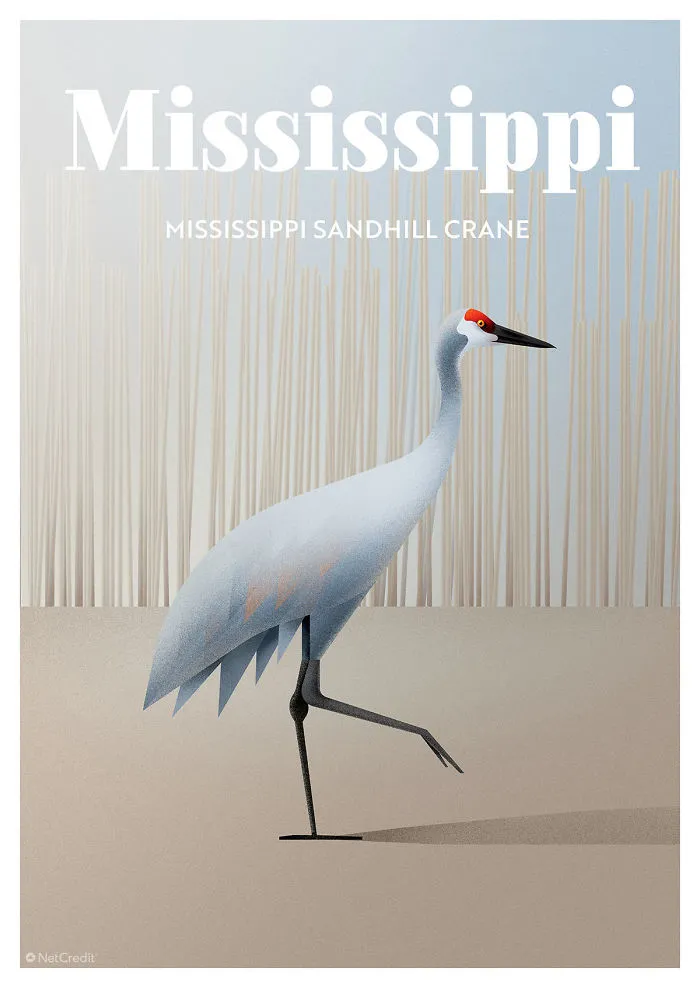 Mississippi Sandhill Crane