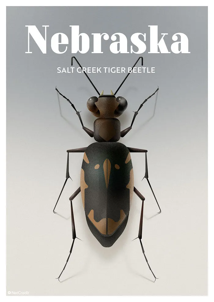 Salt Creek Tiger Beetle